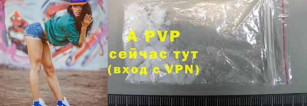 бошки Иннополис