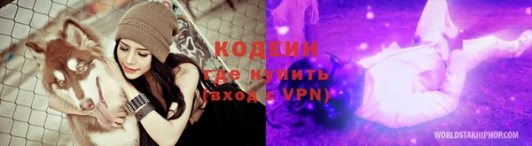 эйфоретик Инта
