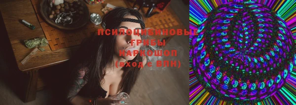 эйфоретик Инта